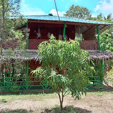 Sigiri Lion Eco Palace 시기리야 외부 사진