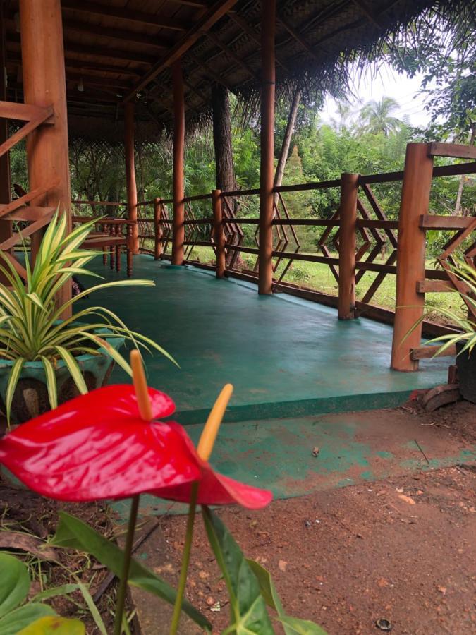 Sigiri Lion Eco Palace 시기리야 외부 사진