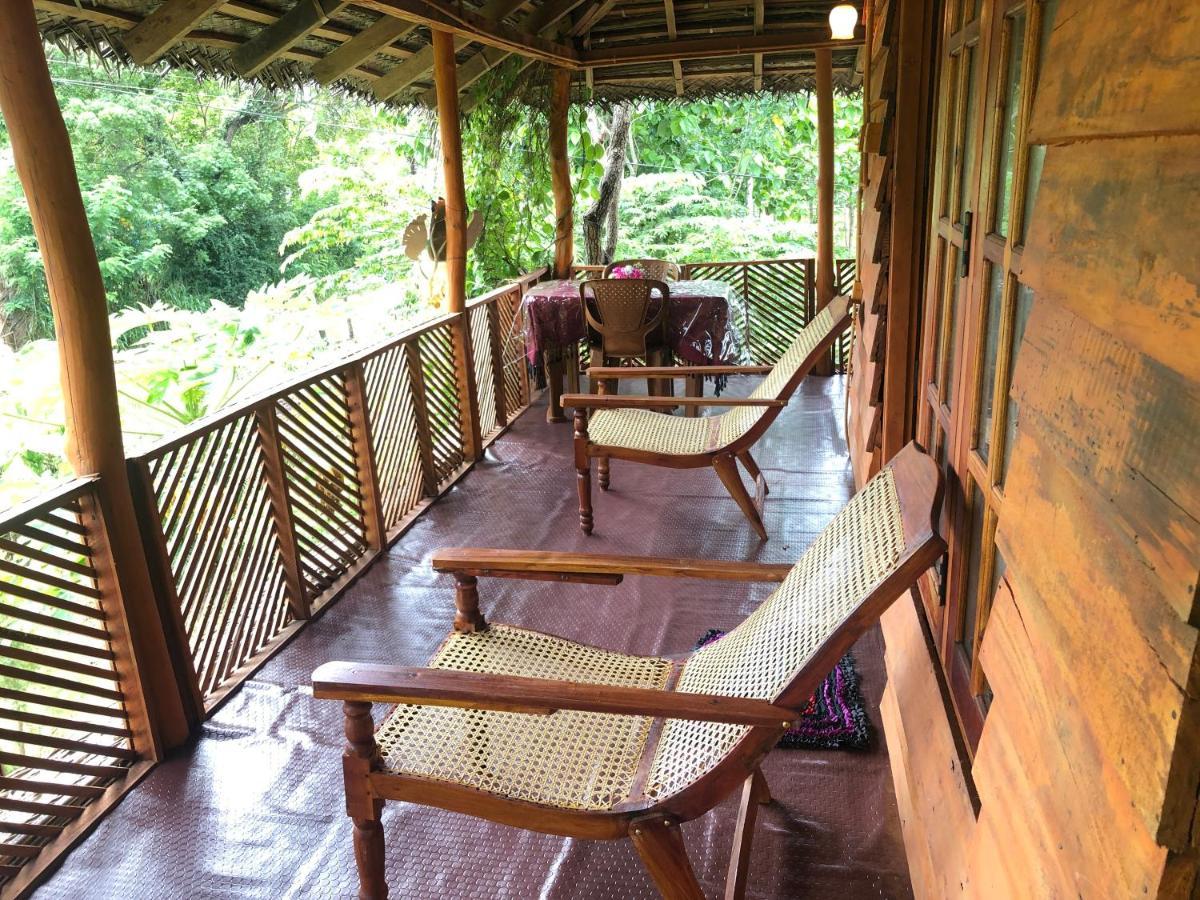 Sigiri Lion Eco Palace 시기리야 외부 사진