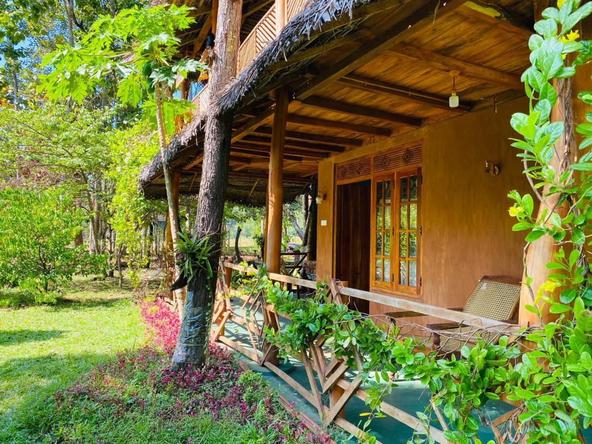 Sigiri Lion Eco Palace 시기리야 외부 사진