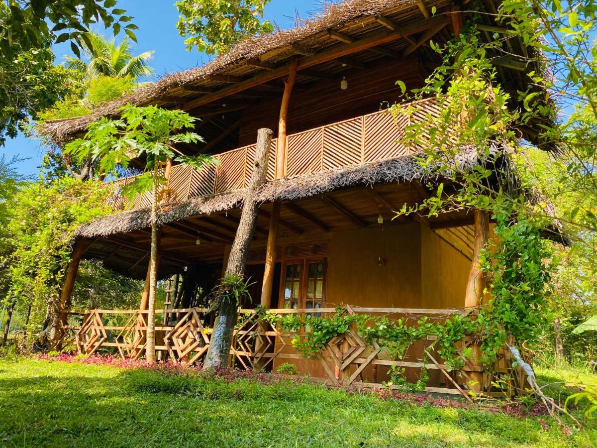 Sigiri Lion Eco Palace 시기리야 외부 사진