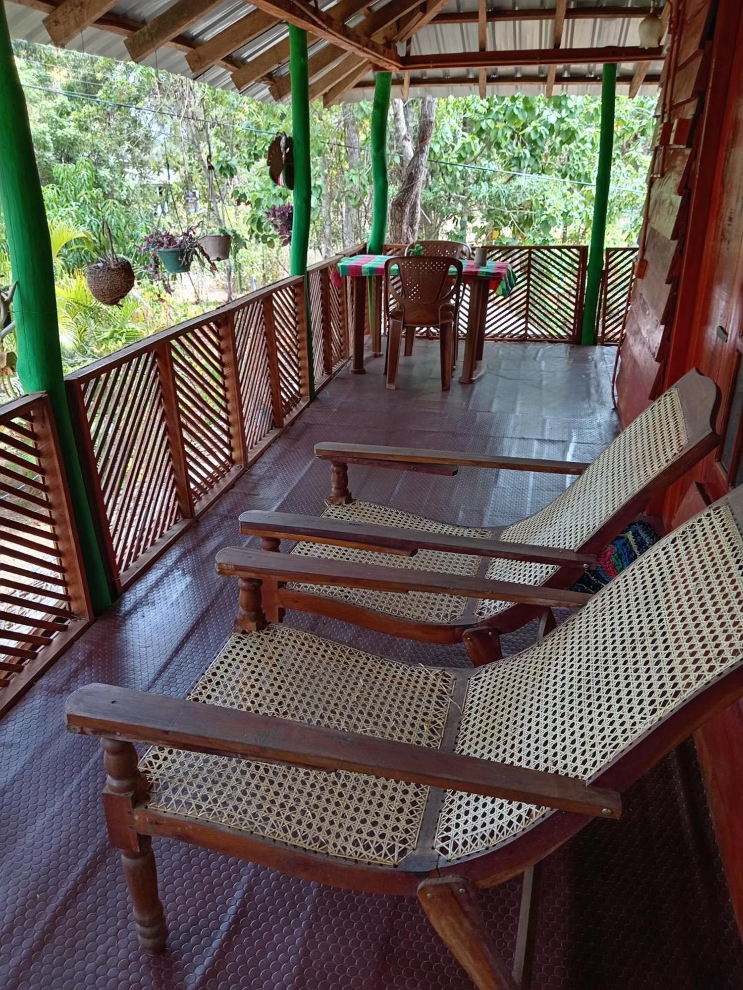 Sigiri Lion Eco Palace 시기리야 외부 사진